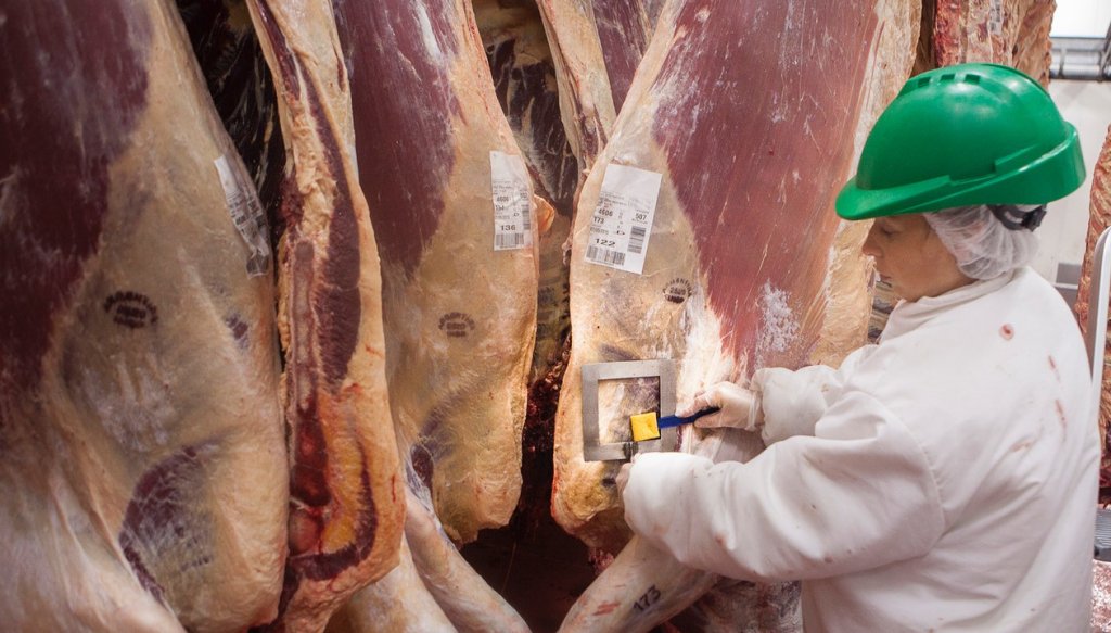 La faena bovina sigue en baja, pero con un dato favorable: menos pérdida de vientres La faena bovina sigue en baja, pero con un dato favorable: menos pérdida de vientres