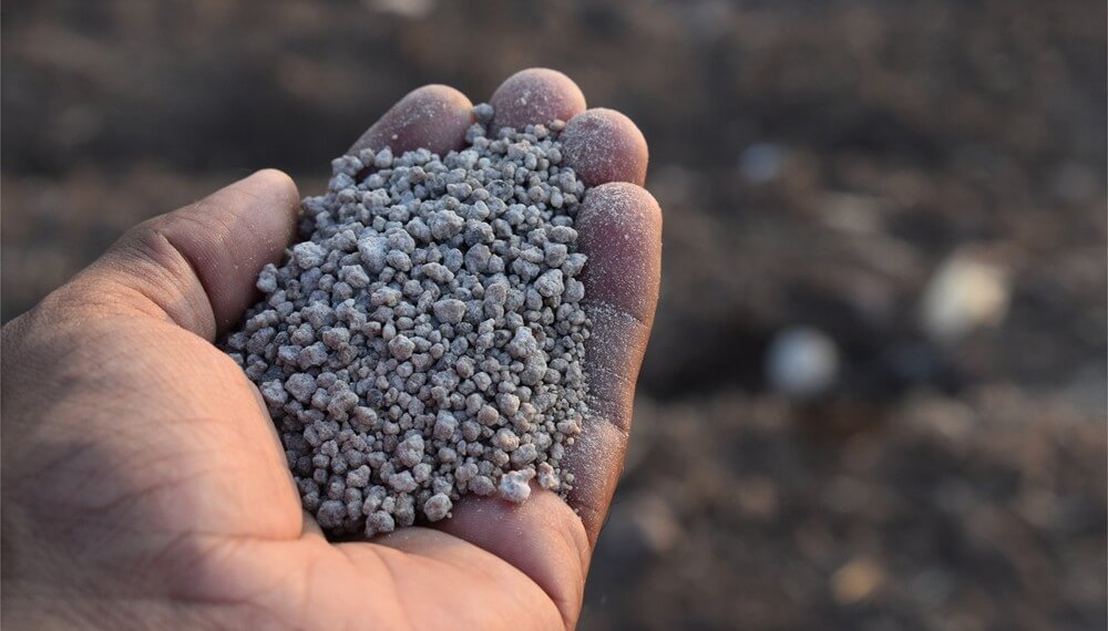 Fertilización en fina: estrategias para una campaña “reñida” Fertilización en fina: estrategias para una campaña “reñida”