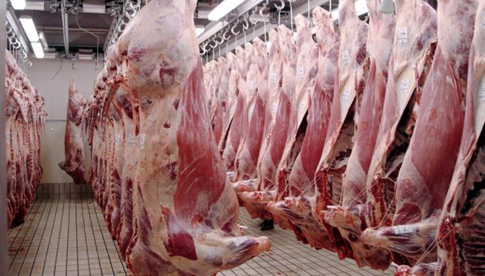 La faena bovina cayó 2,4% en el primer trimestre: 13.300 toneladas de carne menos La faena bovina cayó 2,4% en el primer trimestre: 13.300 toneladas de carne menos