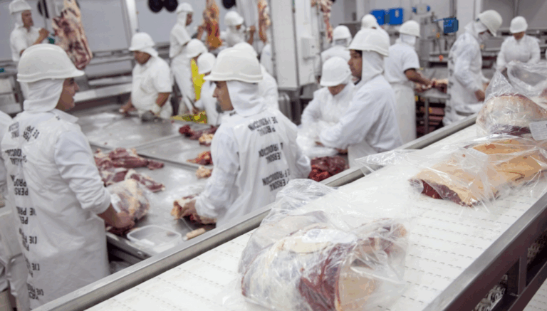 Desde el interior, un empresario de la carne afirma que el nuevo dólar “no sirve” y critica: “Estamos desprotegidos” Desde el interior, un empresario de la carne afirma que el nuevo dólar “no sirve” y critica: “Estamos desprotegidos”
