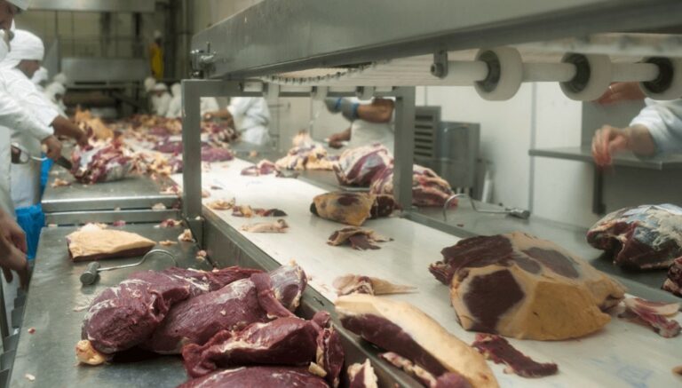 El fin del cepo y su impacto en la carne: “No hay que esperar nuevos aumentos”, anticipan los frigoríficos El fin del cepo y su impacto en la carne: “No hay que esperar nuevos aumentos”, anticipan los frigoríficos