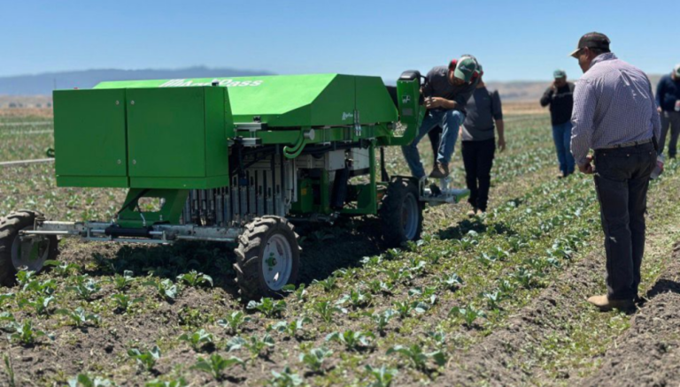 Fabrican un robot que “piensa como agricultor” para eliminar malezas y buscan llegar a América Latina Fabrican un robot que “piensa como agricultor” para eliminar malezas y buscan llegar a América Latina